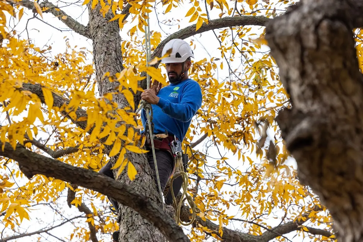 Skilled Storm Damage Cleanup crew working in Moody Afb